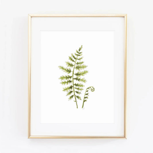 fern woodland wall art print
