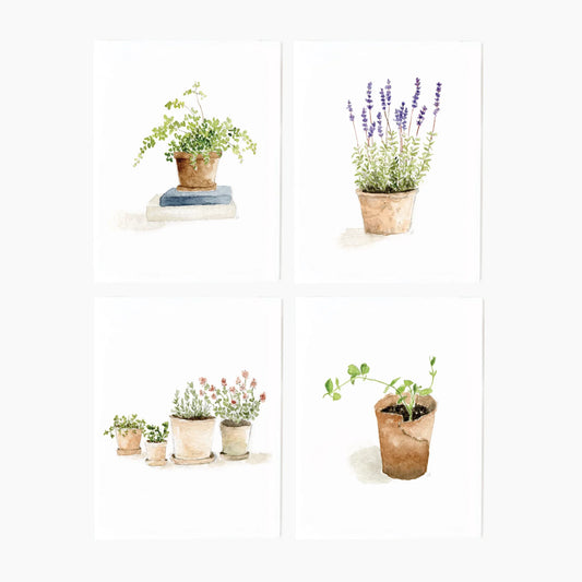 potted plants assorted notecard set