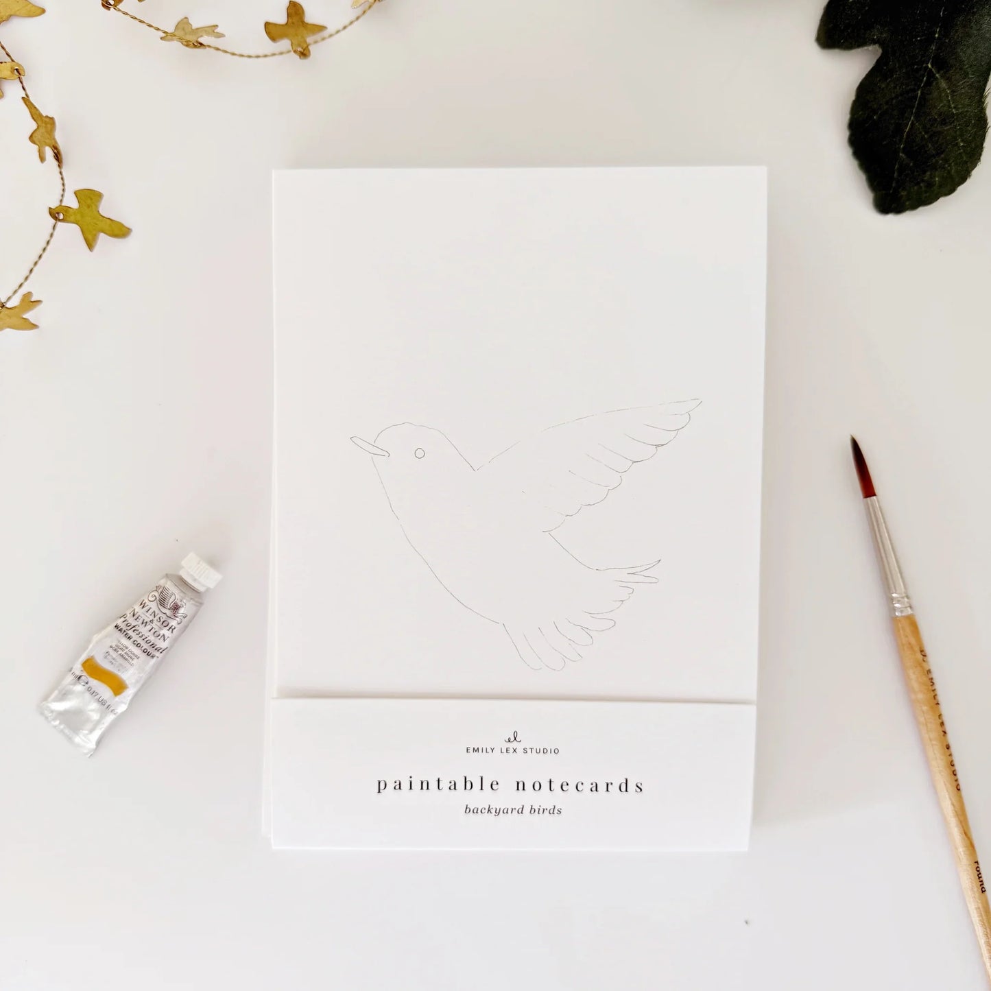 birds paintable watercolor notecard set