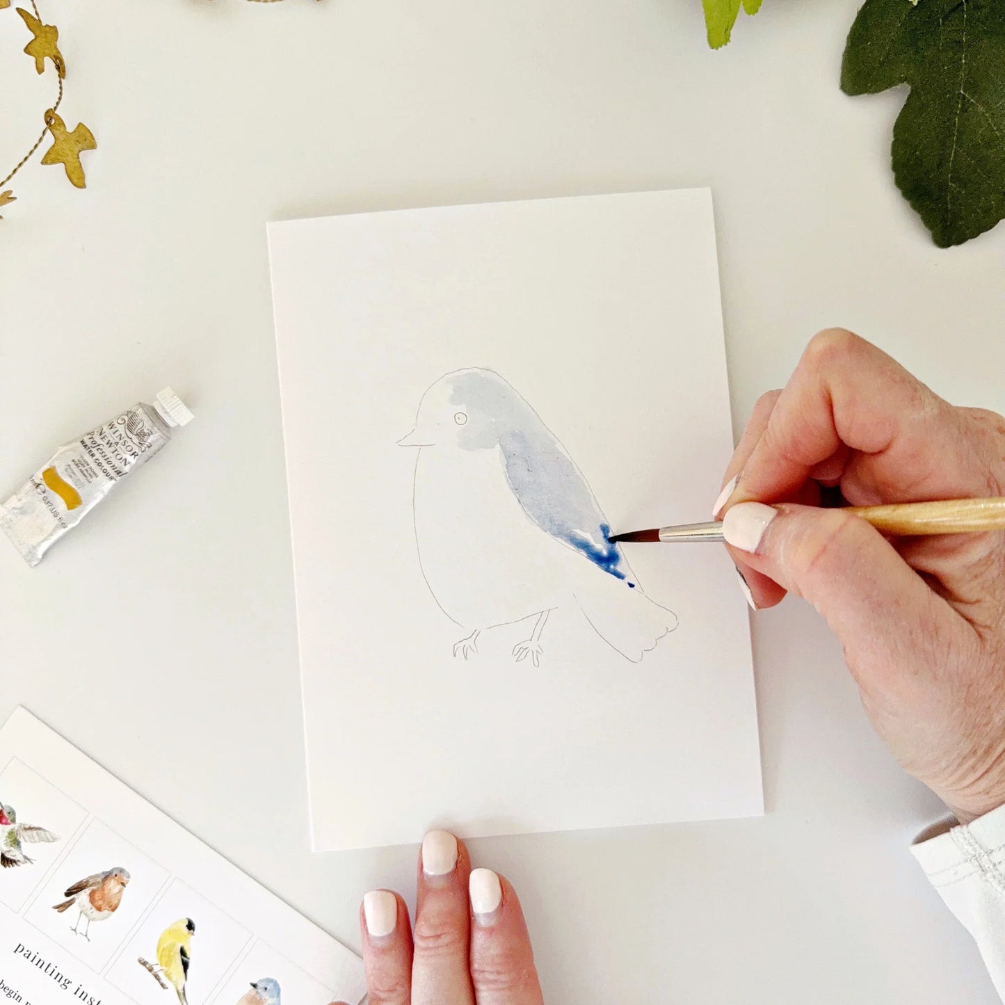 birds paintable watercolor notecard set