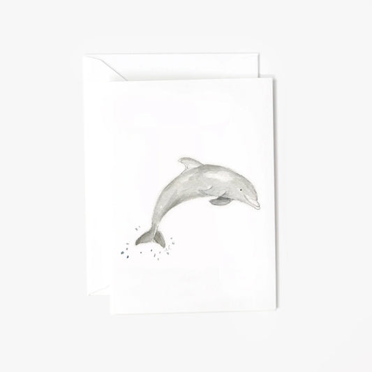 dolphin mini enclosure notecard