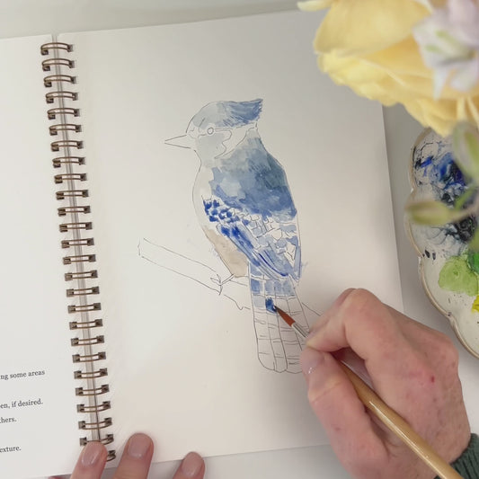 birds watercolor workbook