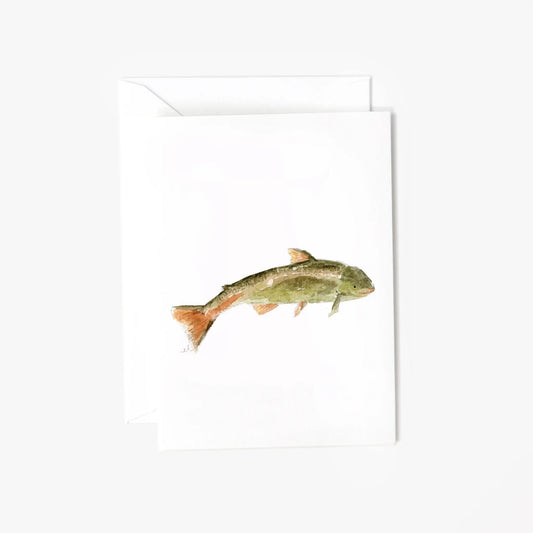 fish mini enclosure notecard