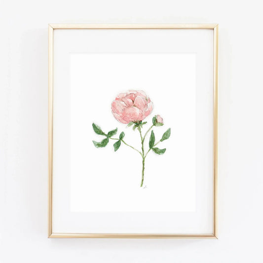 garden rose art print - emily lex studio