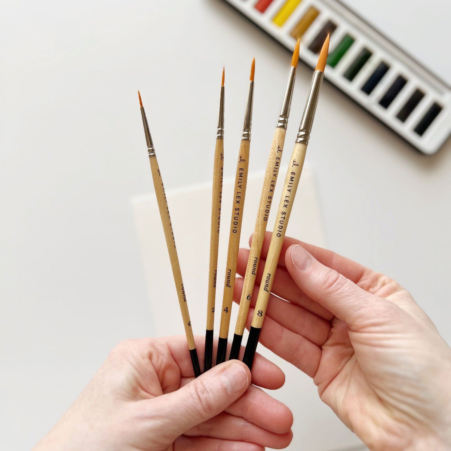 all - emily lex studio