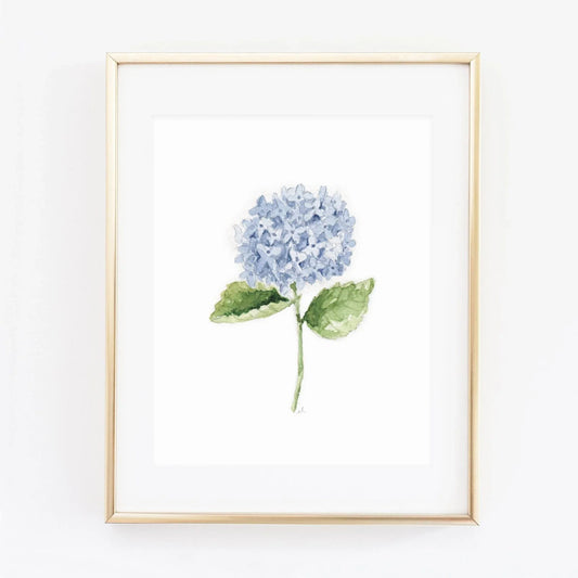 hydrangea stem art print - emily lex studio