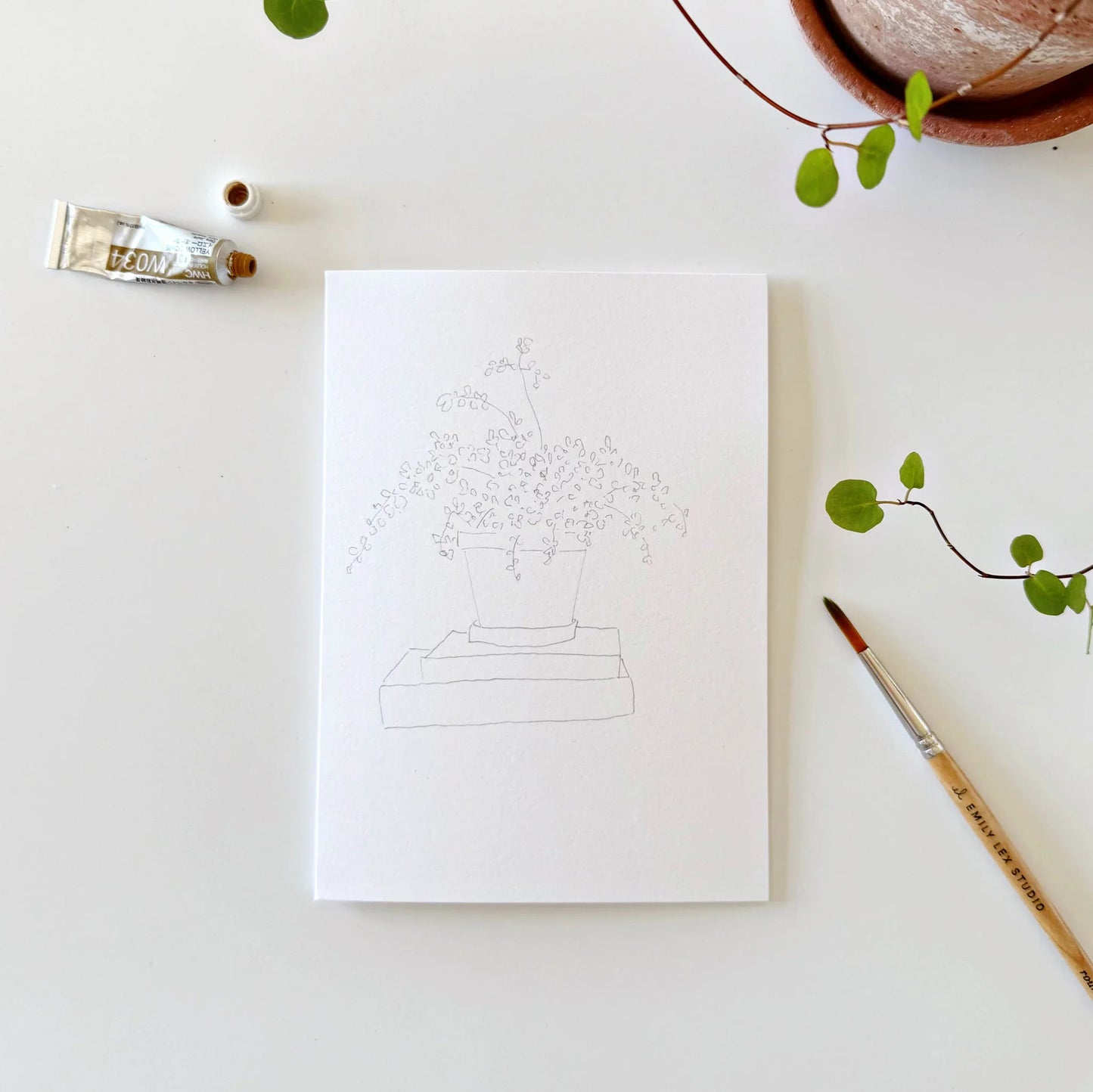 potted plants paintable watercolor notecard set