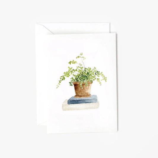 maidenhair fern mini enclosure notecard