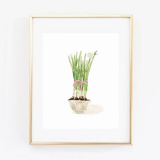 paperwhites art print - emily lex studio