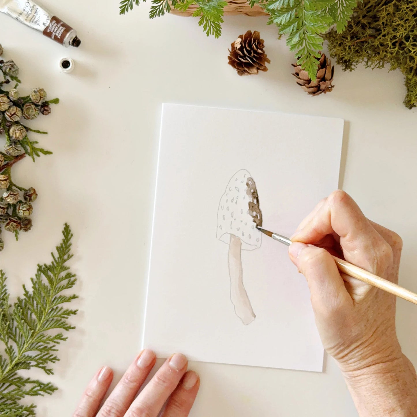 mushrooms paintable watercolor notecard set