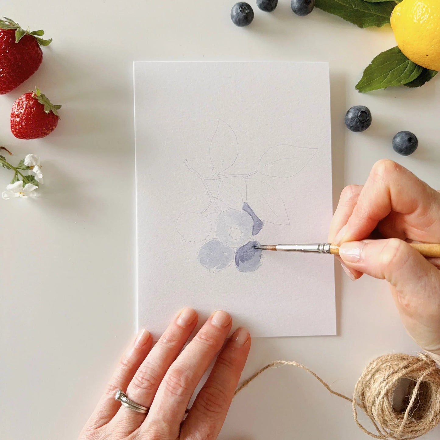 fruit paintable watercolor notecard set