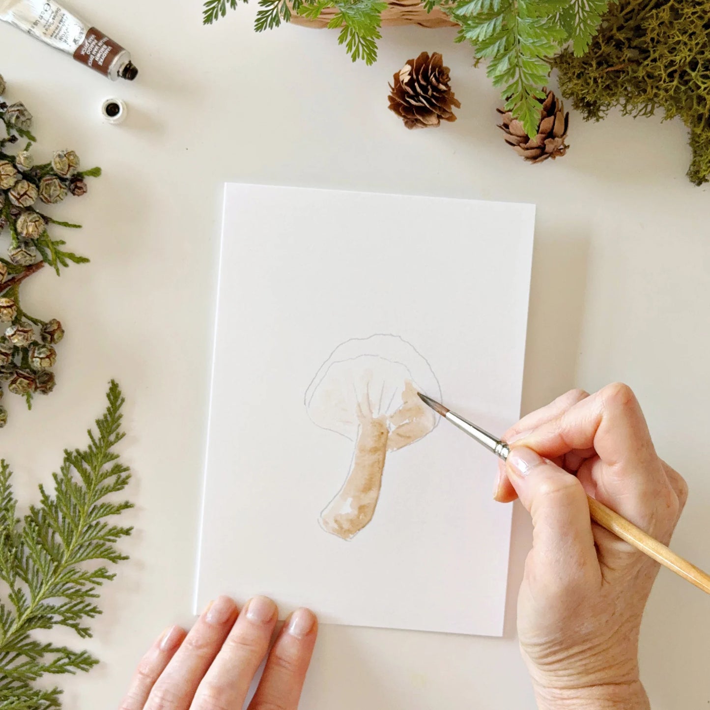 mushrooms paintable watercolor notecard set