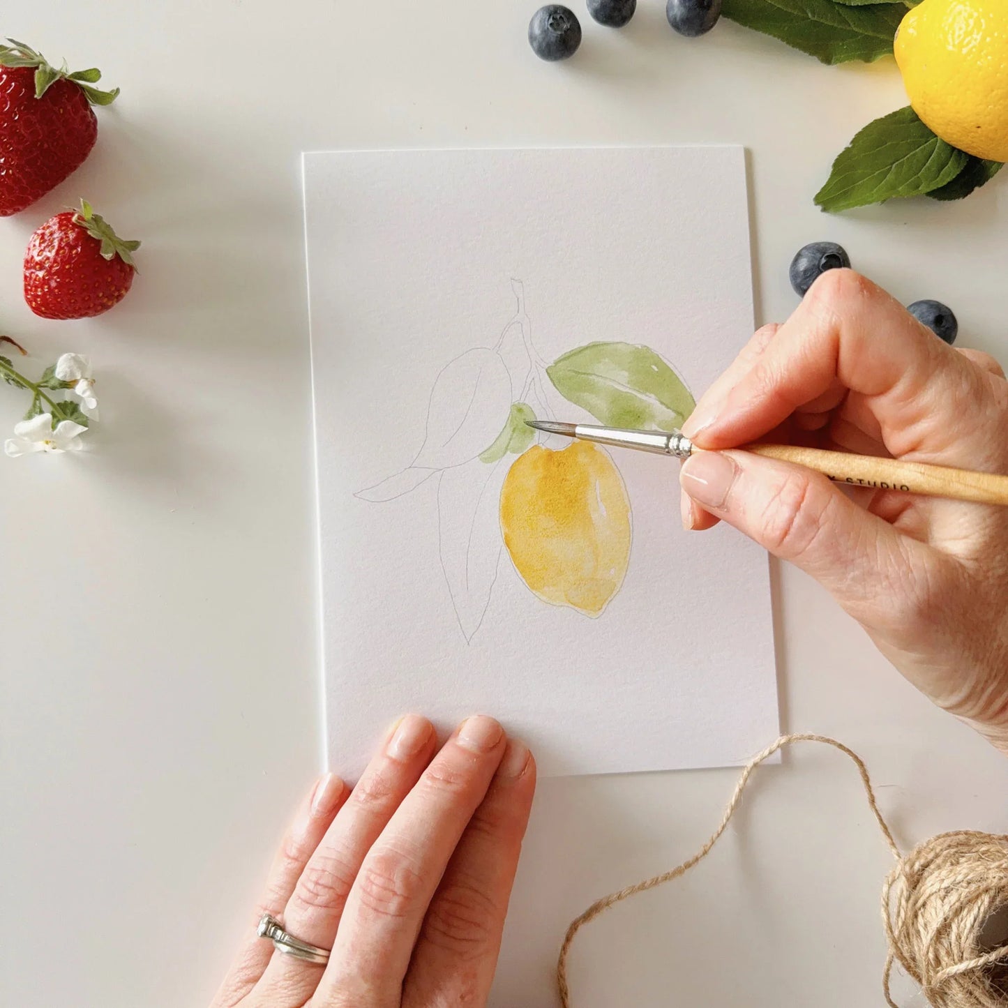 fruit paintable watercolor notecard set