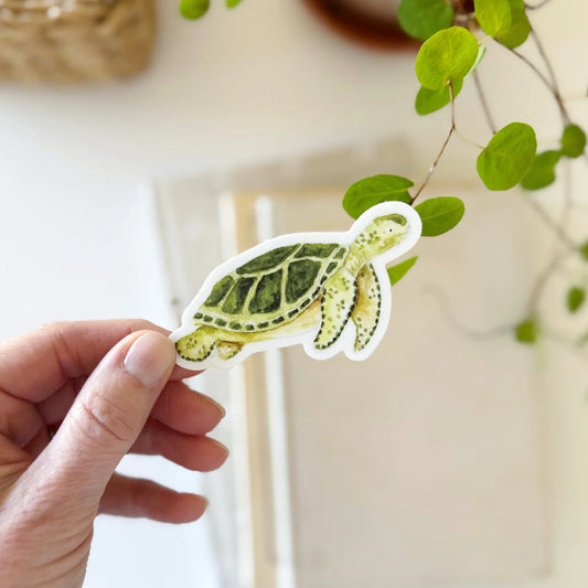 sea turtle sticker