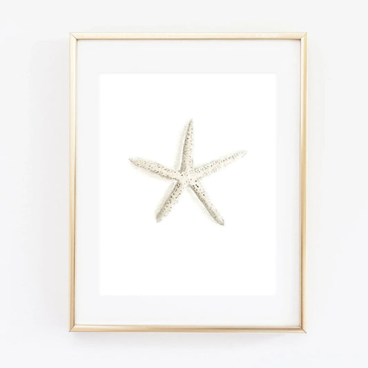 starfish art print - emily lex studio