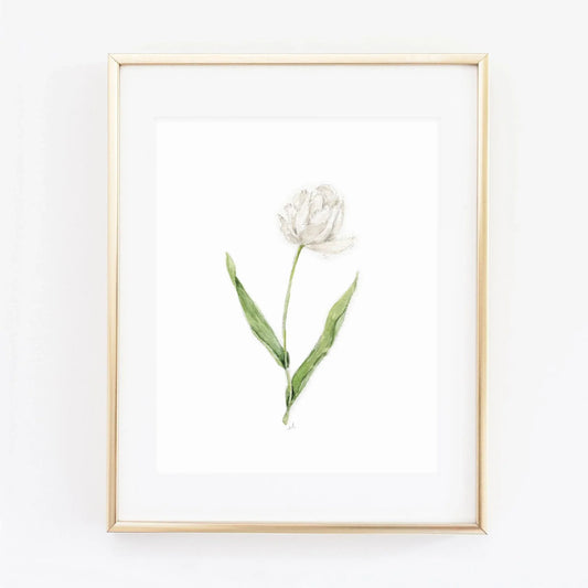 white tulip art print - emily lex studio