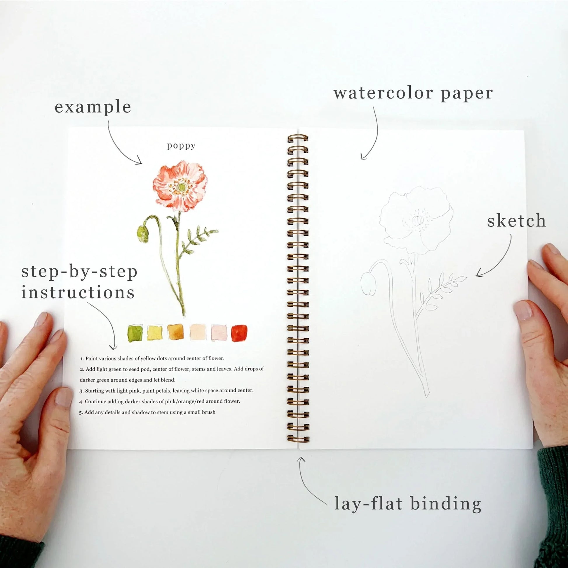 Open flowers watercolor workbook instructions page with watercolor paper, poppy illustration, and step-by-step instructions on a white background.